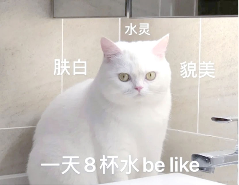 自来水有异味？净水器是否必要？