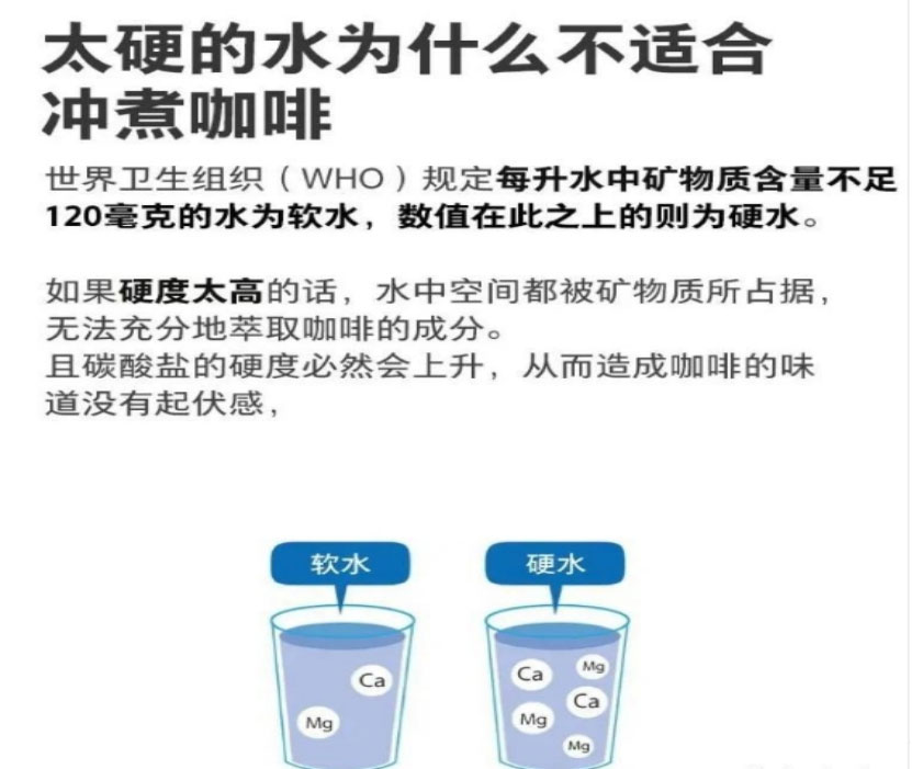 泡茶、冲咖啡，水质决定口感天花板