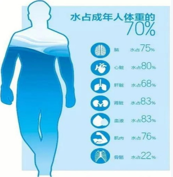 5A净水云仓家用净水器的类型全解析