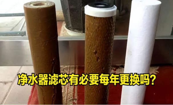 净水器滤芯超期服役？危害比你想的更严重